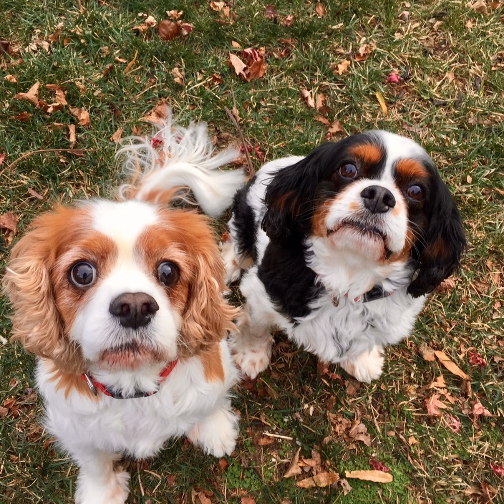 Meet your Posher, Melanie